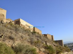 Castillo de Alhama 2008